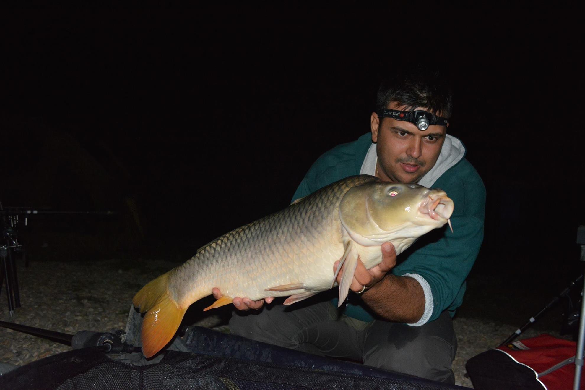 Hermes Peris 12 - 13 septembrie 2014 - 10686312611521878965479604253475o.jpg